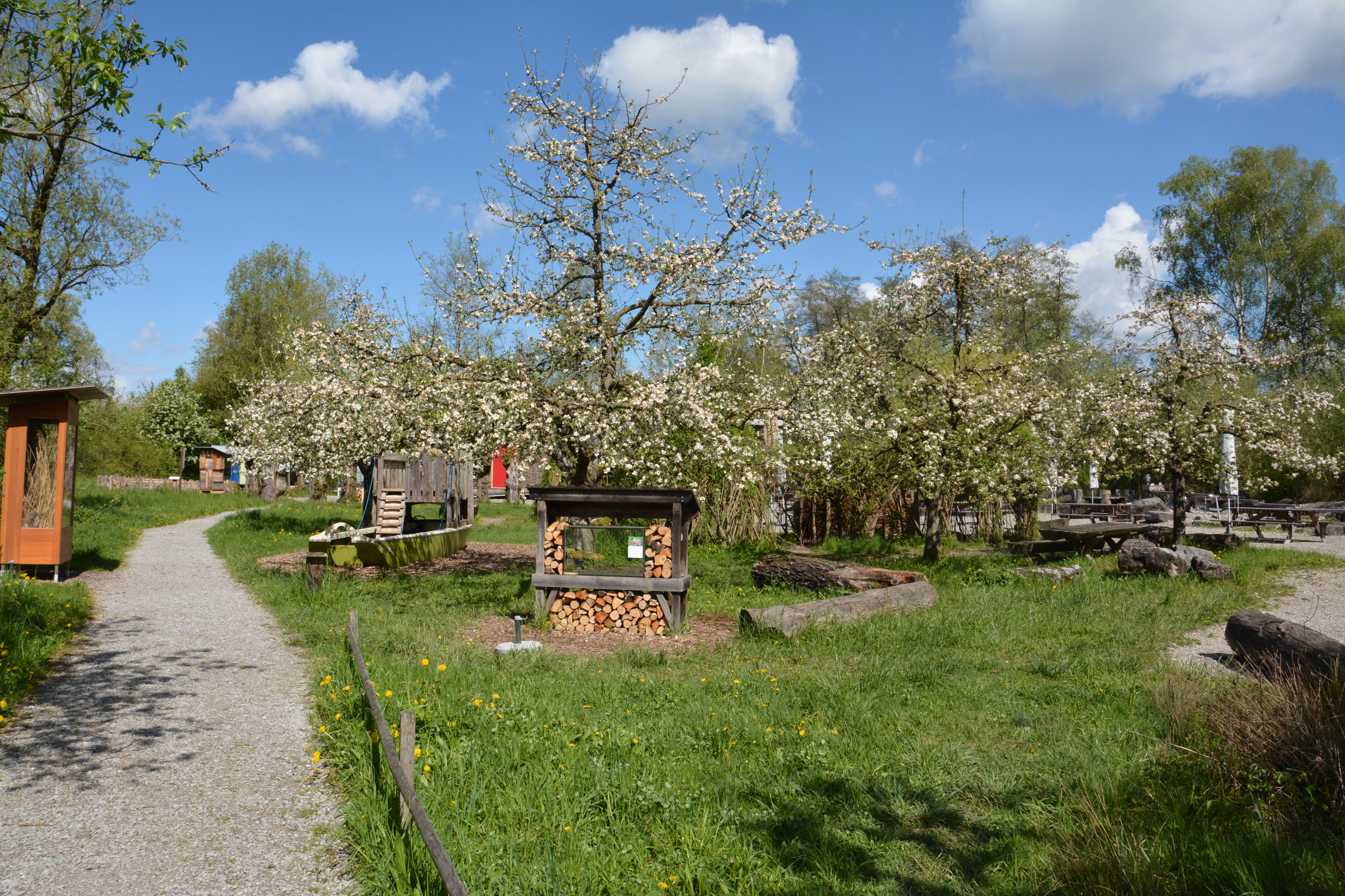 Naturstation Silberweide Spiel- und Picknick-Platz. Foto: Nicola Tröhler